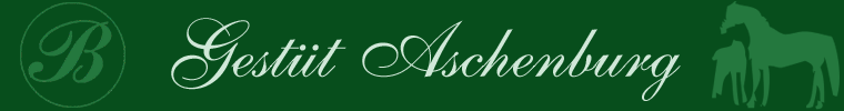 Bonkhoff - Gestüt Logo