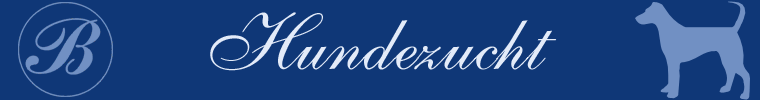 Bonkhoff - Deutsche Doggen Logo