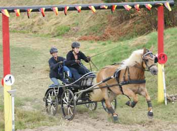 Kutsche und Pferdezubeh�r
