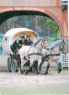 Wagonette Western von Herrn Schott bei den Titanen der Rennbahn Bild