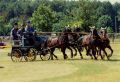 Familie Schultz mit Kutschen der Fa. Bonkhoff erfolgreich Bild
