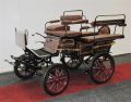 Wagonette Pony / Kleinpferd Bild