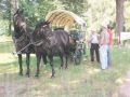 Wetsernwagonette bei Familie Vollhardt Bild