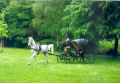 restaurierte Victoria bei Familie Stanneck Bild