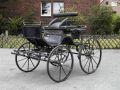 Dressurspider Warmblut Bild
