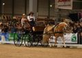 Messe Erfurt 2010 Bild