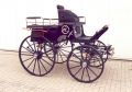 Derbybreak Warmblut Bild