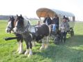 Wagonette Western bei Familie Quednau Bild