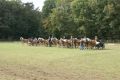 Vereinsmeisterschaft Haflinger-Sportverein Westfalen 2009 Bild