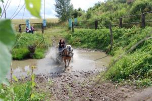 Geländetraining Mohlsdorf 2009 Bild