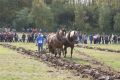 Deutsche Meisterschaft im Gespannpflügen in Gotha-Boxberg 2010 Bild